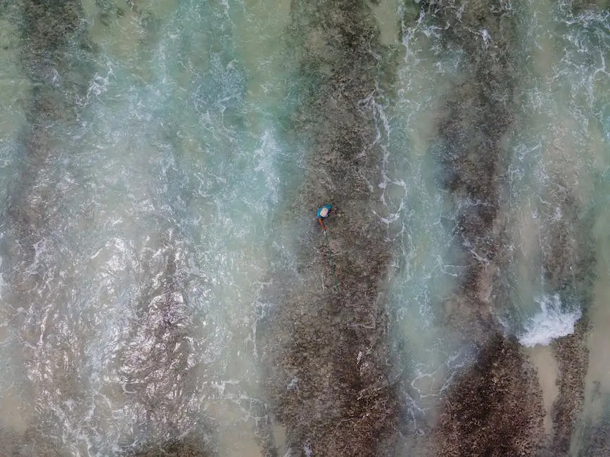 This is an image of a person fishing using a drone. They are standing on the edge of a riverbank and controlling the drone's movements with a remote control. The drone has a fishing line attached to it, which is dangling in the water where fish can be seen swimming.