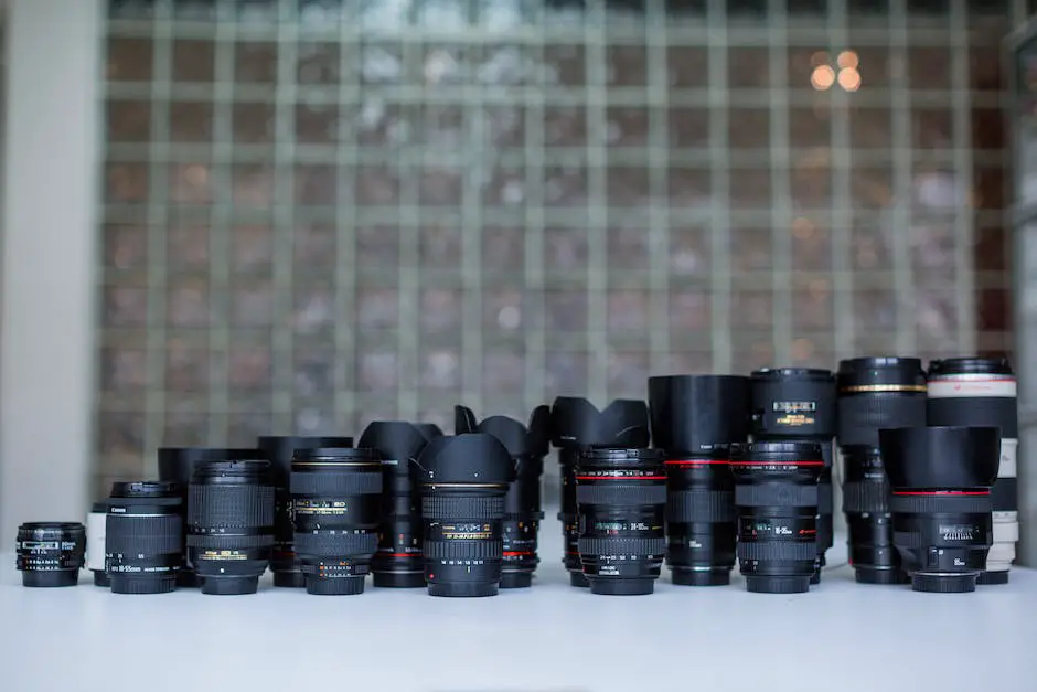 A photographer's set of interchangeable camera lenses in various focal lengths.