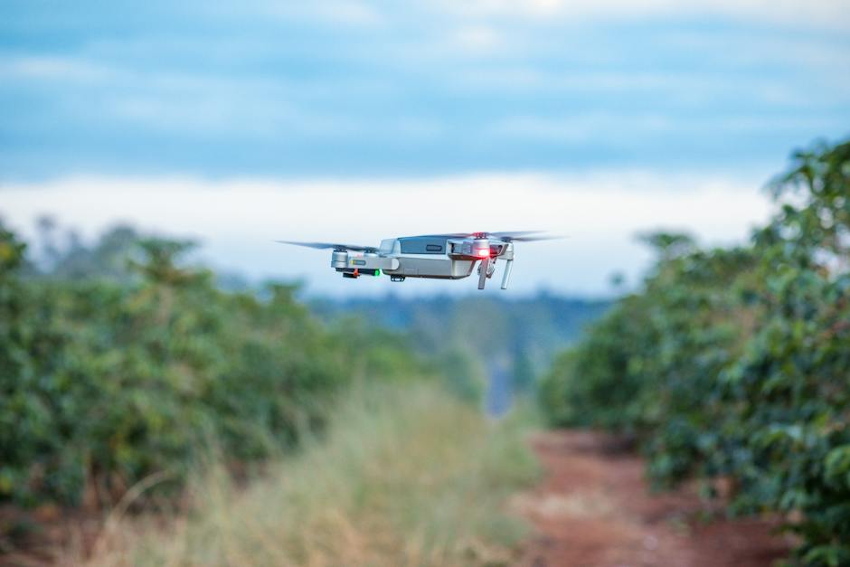 Image of someone flying a drone in an open field